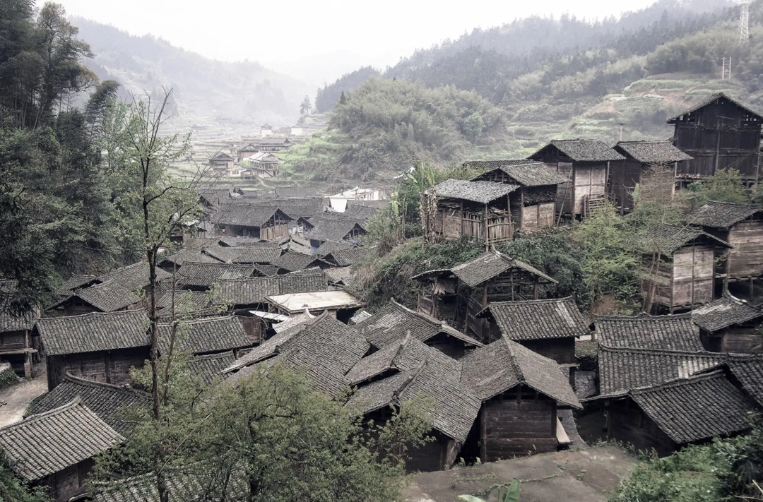 禾仓调研 Barn Survey & Research